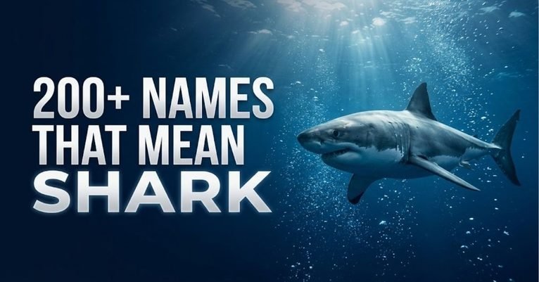 200+ Fierce, Unique & Powerful Names That Mean Shark
